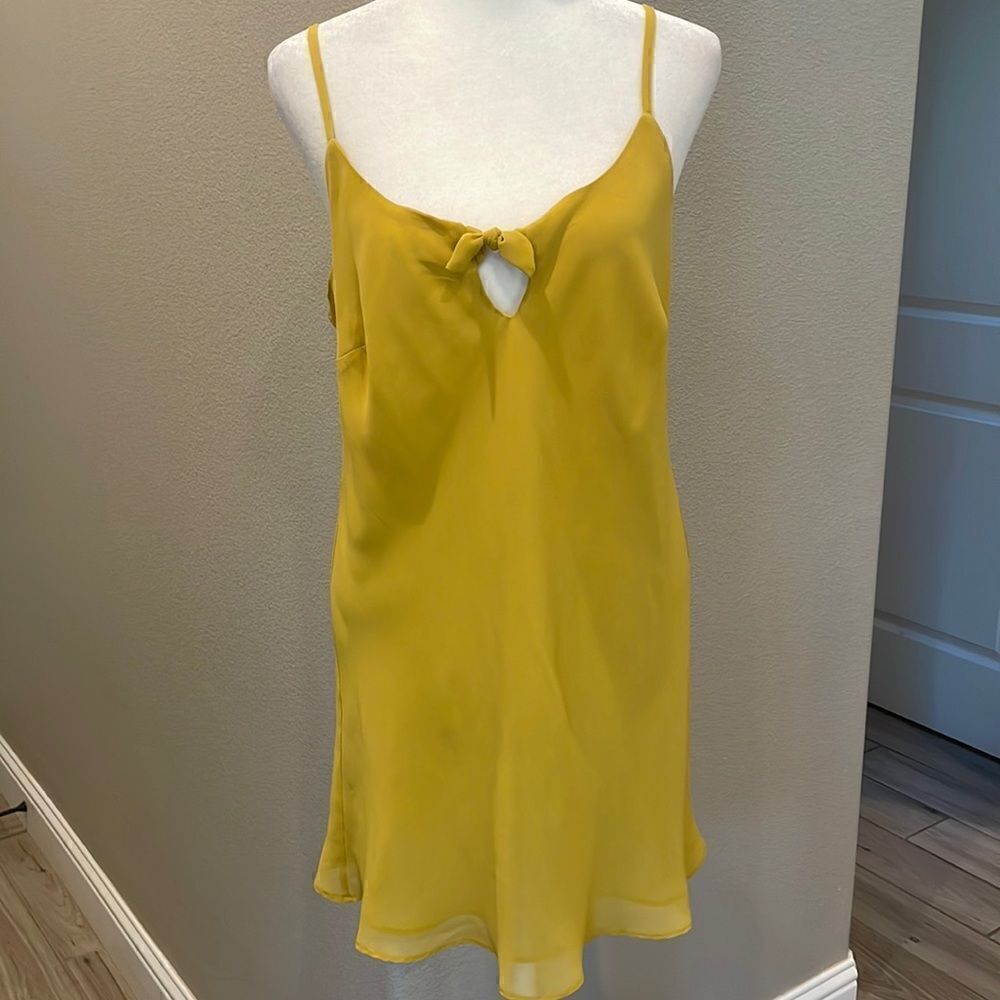 Cabi Woman’s Lined Sheer Camisole Top